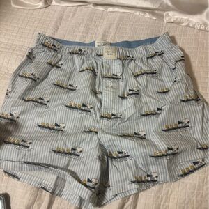 American Eagle Outfitters Blue Striped Boxers